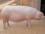 NĸiĠI(yng)B(yng)ҪвͬĿ]