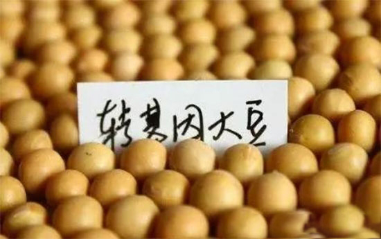 (du)Ї(gu)(zhn)M(jn)(gu)D(zhun)󶹵Ľx