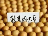 (du)Ї(gu)(zhn)M(jn)(gu)D(zhun)󶹵Ľx