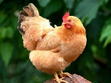 \B(yng)uҲB(yng)ɢB(yng)uζ