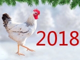 2018B(yng)uИI(y)h(hun)RЩ׃(sh)