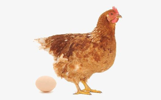 ĸuµôk