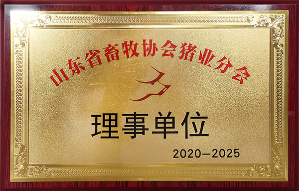 Դɽ|ʡλ2020-2025