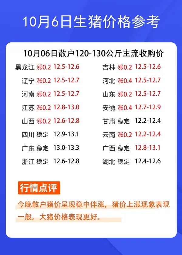 106ir(ji)񅢿