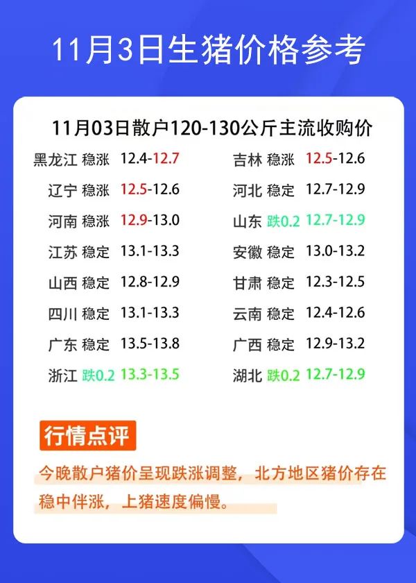 113ir(ji)񅢿