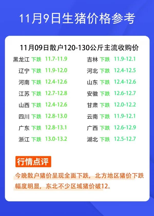 119ir(ji)񅢿